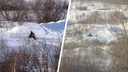 Жители Ключ-Камышенского плато услышали стрельбу со снегохода — полиция начала проверку