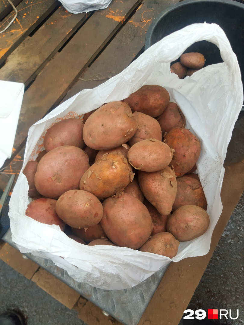 Холмогорская картошка, тоже 20 рублей