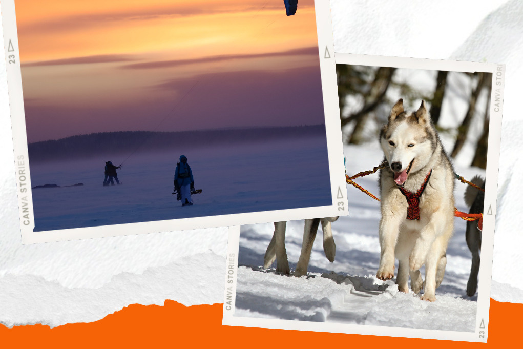 Неси меня, собачка: 10 необычных зимних развлечений в Петербурге и окрестностях