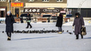 Оттепель сменится похолоданием накануне Крещения в Новосибирске. Прогноз погоды на рабочую неделю