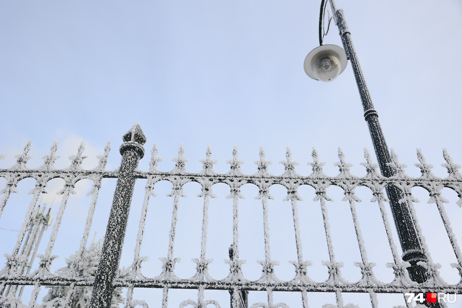 Белая пленка практически везде: на заборах... Белая пленка практически везде: на заборах...
