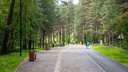 Заельцовский парк в Новосибирске возобновит работу <nobr class="_">25 июня</nobr>