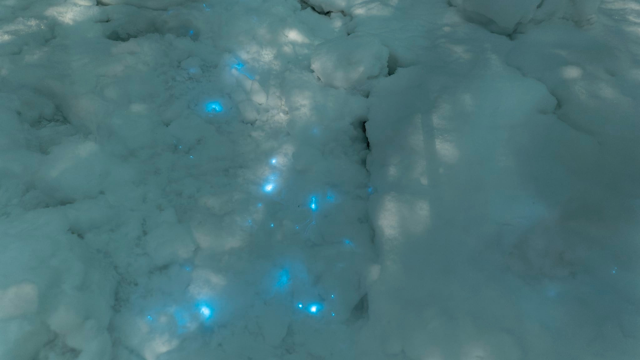 Вселенная под ногами. Фотограф снял снег с живыми огоньками на берегу Белого моря — что это такое