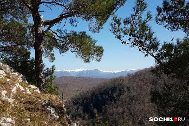 Агурское ущелье в сочи фото