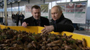 Путин потрогал поморские шишки: президенту показали важную часть производства на УЛК