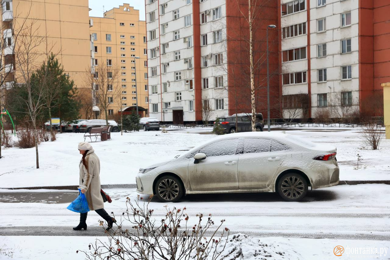 Зима в Петербурге крепнет. Снега столько, что на дорогах уже снежный накат