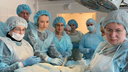 Уральские врачи прооперировали беременную овечку. Рассказываем, зачем это нужно