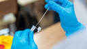 Более 100 тысяч новосибирцев официально заразились ковидом за пандемию
