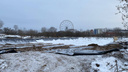 Котлован вместо парка: на берегу Которосли в Ярославле вырубили десятки деревьев