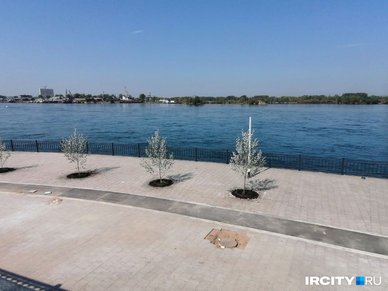 Здесь посажены и самые высокие деревья Здесь посажены и самые высокие деревья