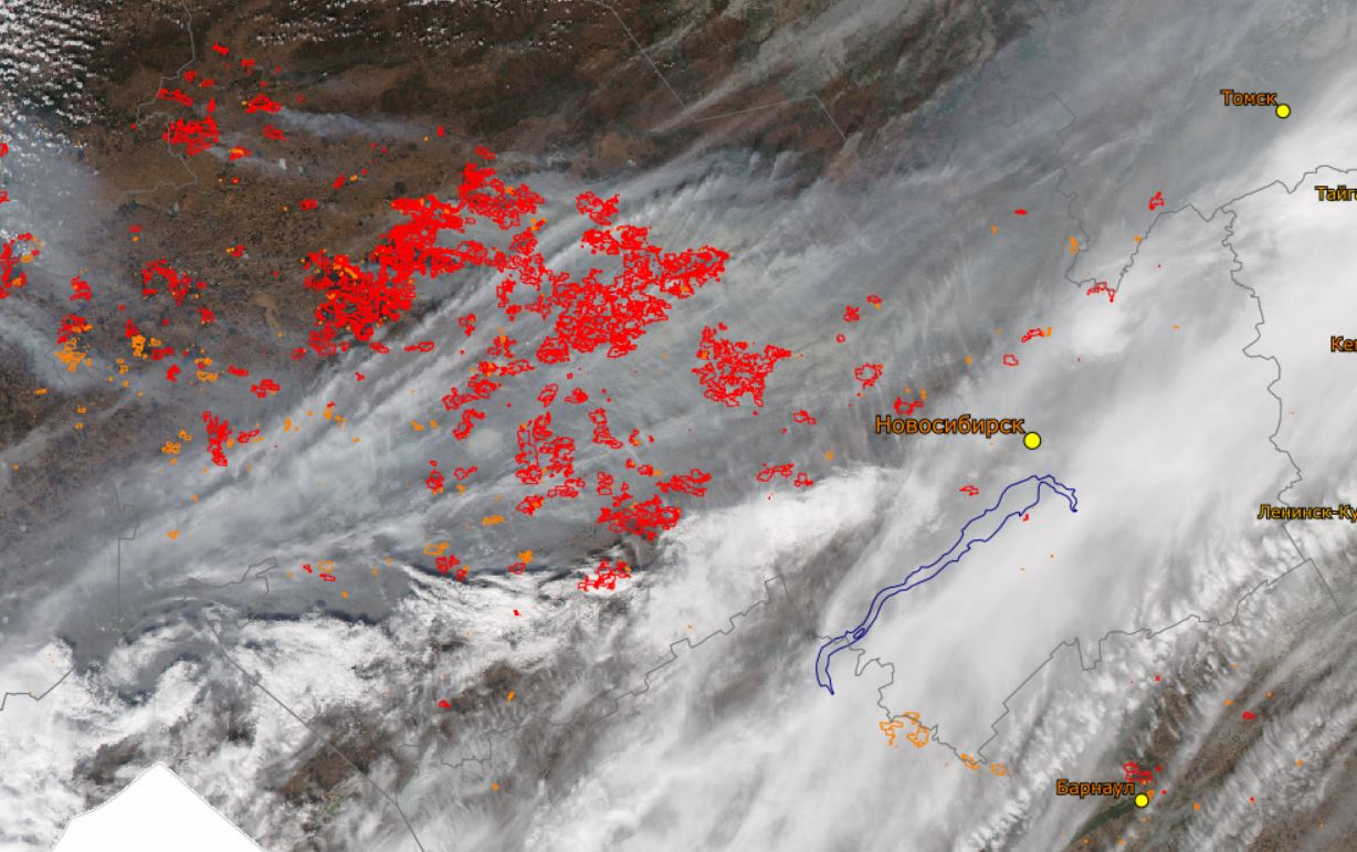 Карта огня. Лесные пожары в Сибири. Лесные пожары в Сибири (2015). Карта пожаров на планете. Пожар в Новосибирске.