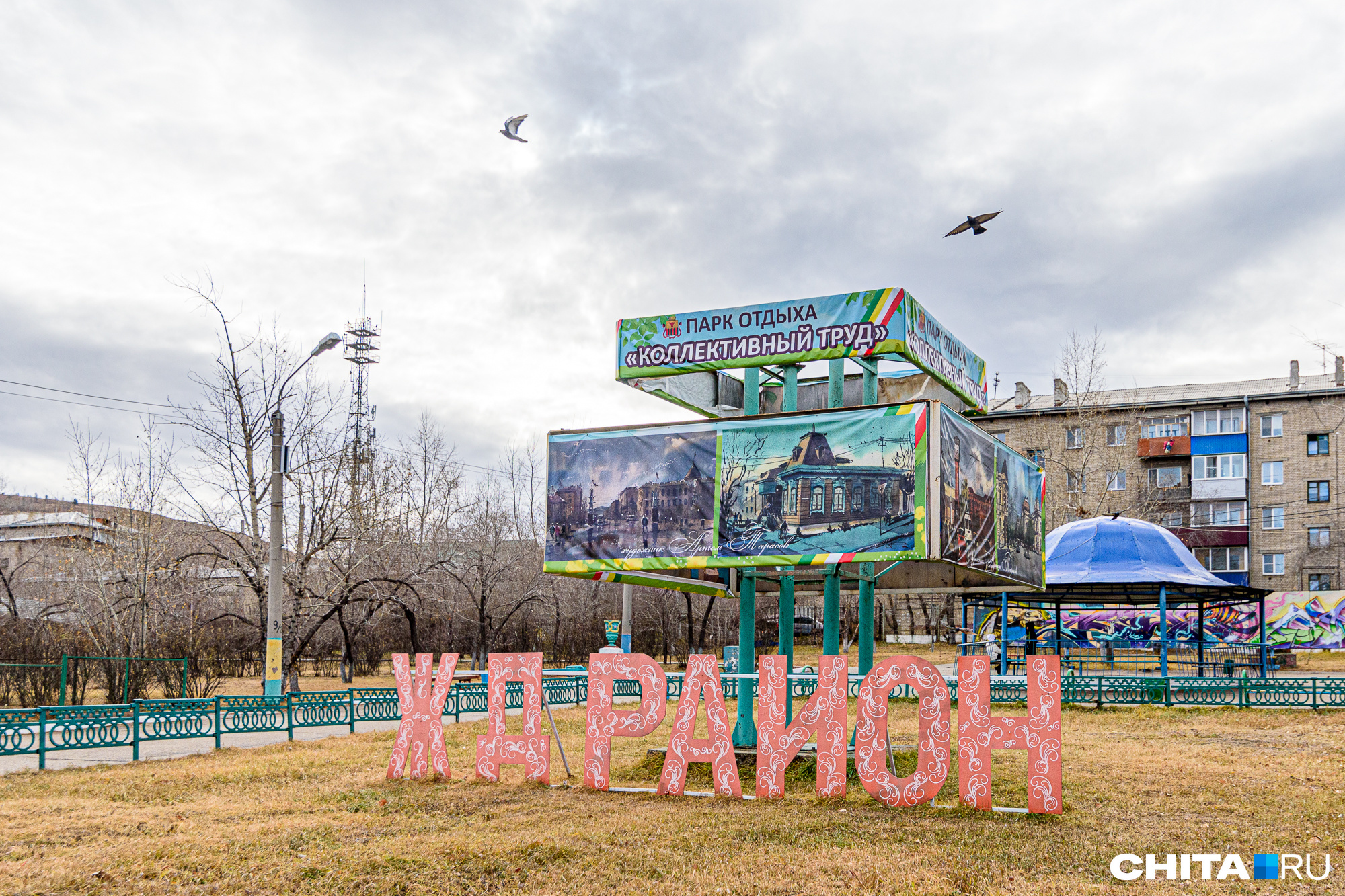 парк в чите