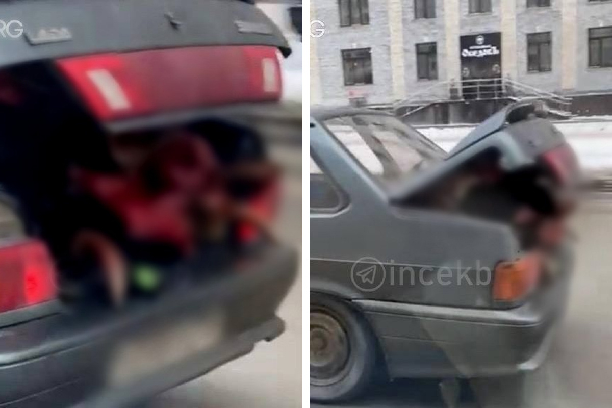 «Просто шок». По Екатеринбургу ездит водитель с расчлененным животным в открытом багажнике