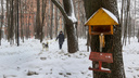 В Нижегородской области введут ответственность для тех, кто не убирает за своими собаками