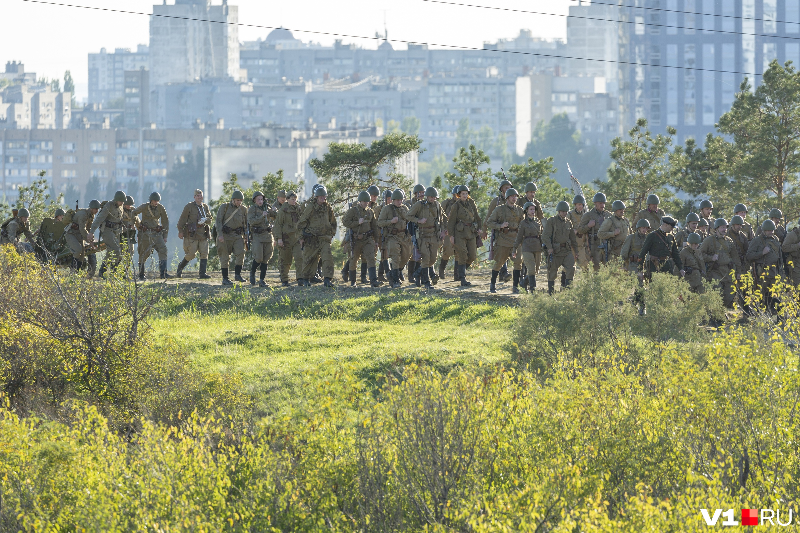 волга раст на мамаевом кургане волгоград фото 51