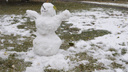 Аномальные морозы или теплый декабрь? Изучаем прогноз погоды в Новосибирске на три месяца