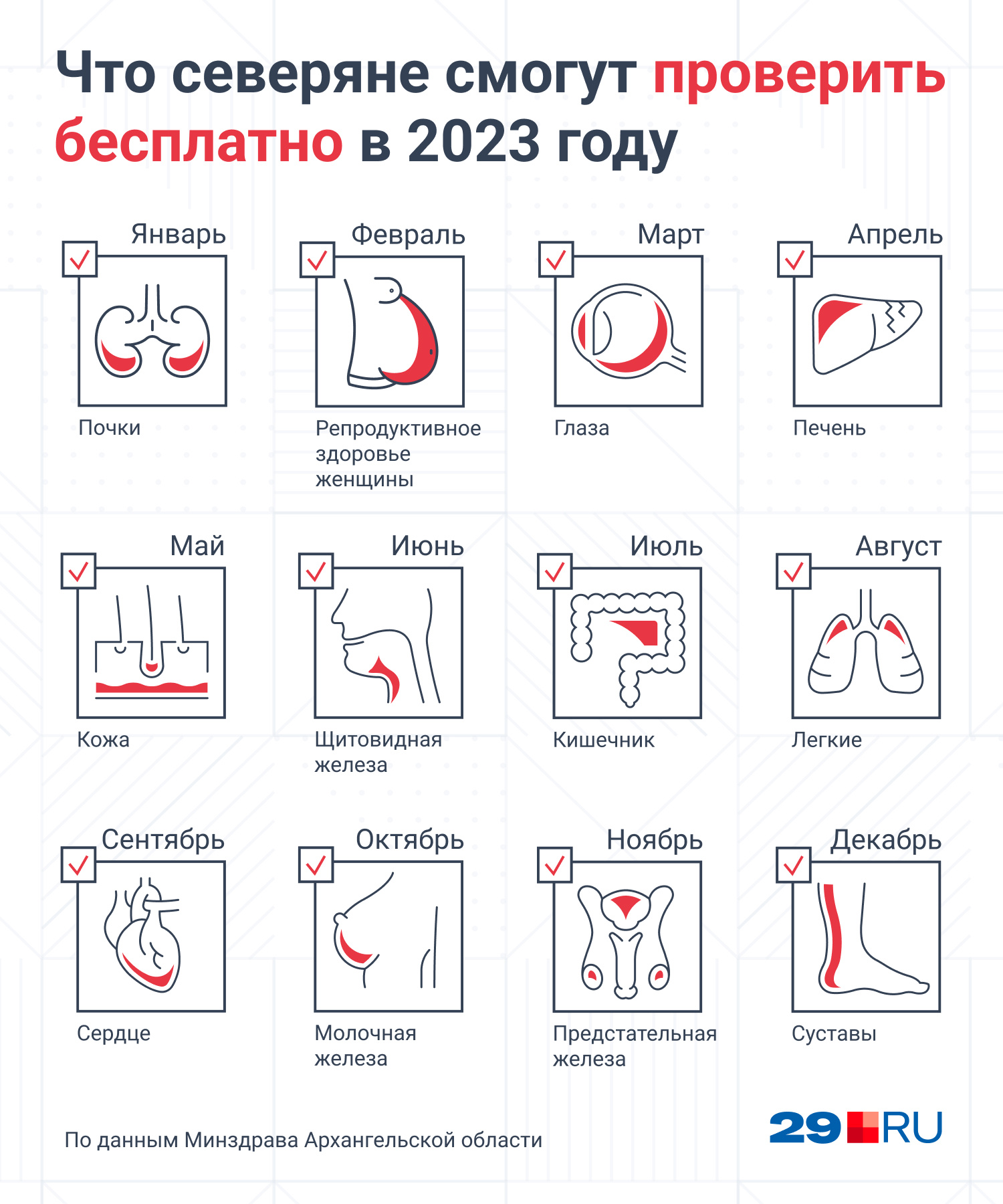 Какие обследования можно пройти — показываем в одной картинке Какие обследования можно пройти — показываем в одной картинке