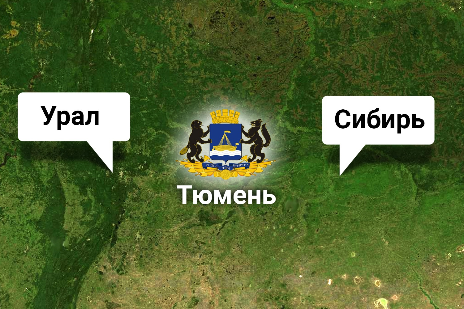 Губернатор Тюменской области обозначил точки роста для региона -Новости Сургута