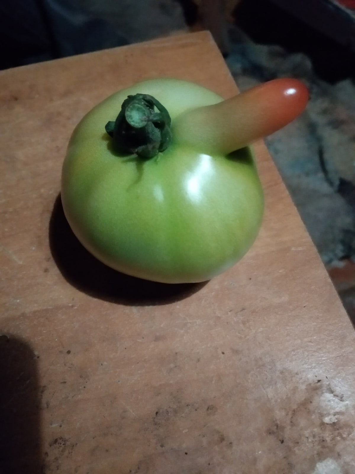 А эта помидорка с отростком уродилась в Ишимском районе