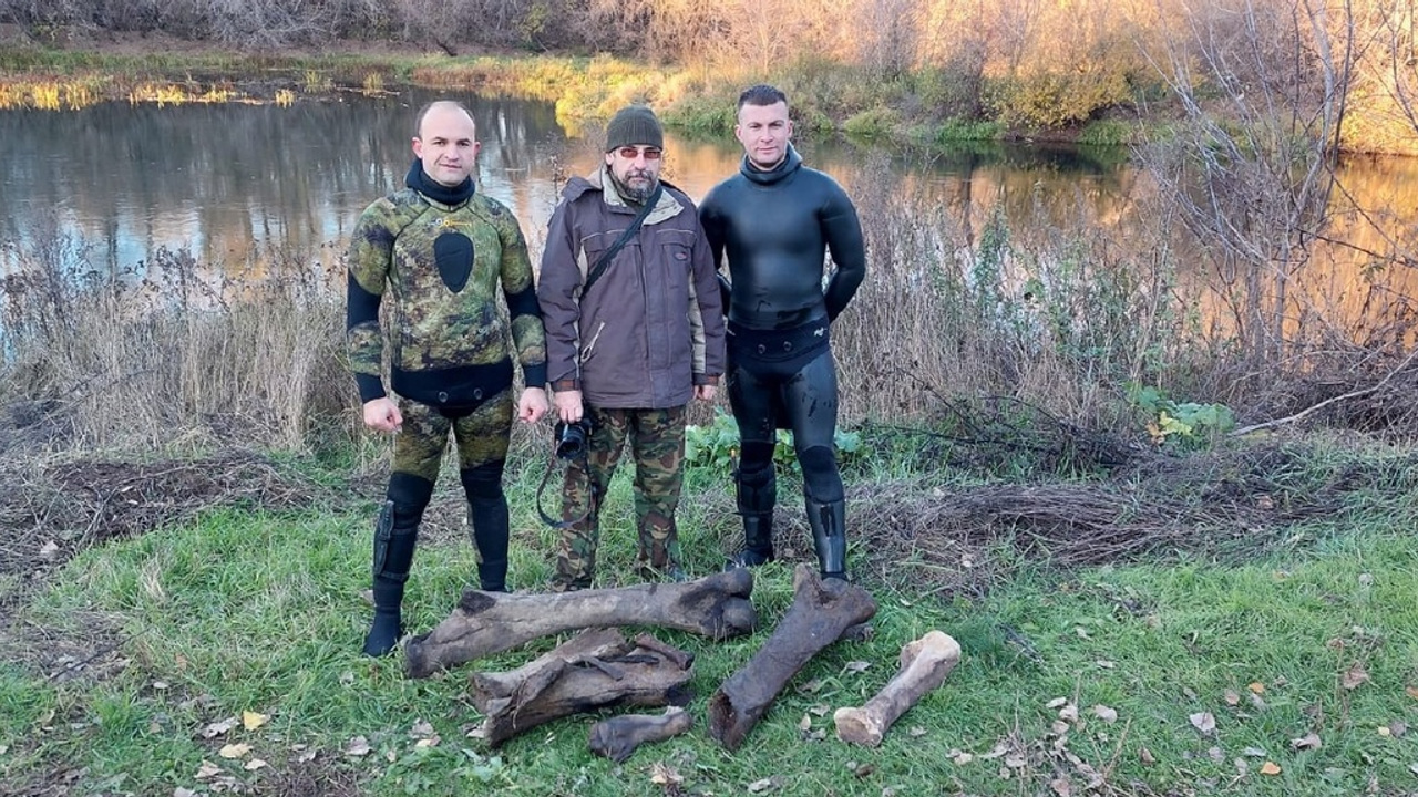 «Размером с человека!»: в Самарской области нашли кости мамонта и шерстистого носорога
