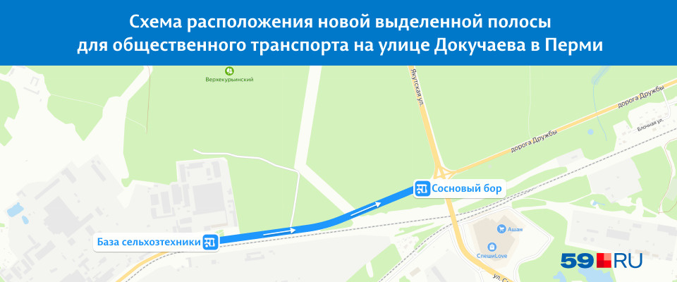 Новая выделенка позволит пассажирам автобусов передвигаться по городу быстрее Новая выделенка позволит пассажирам автобусов передвигаться по городу быстрее