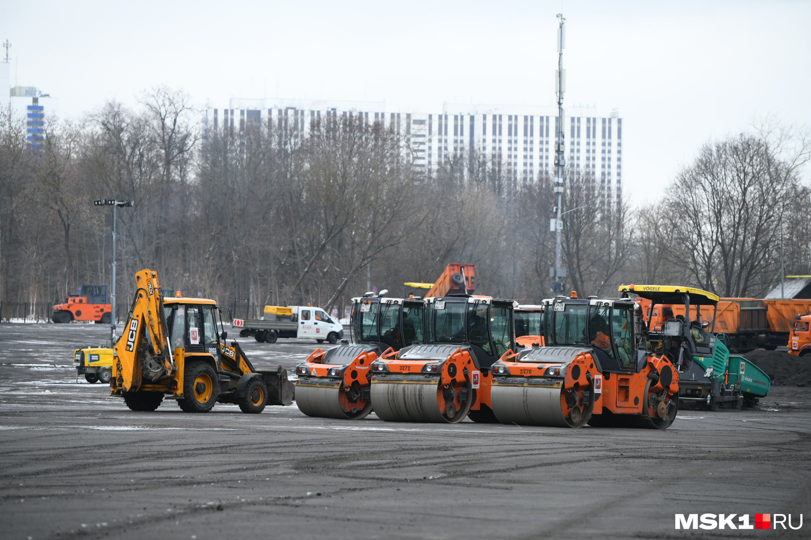 Дороги Москвы. Вырубка деревьев. Измайловский парк 2023. Парк Коломенское вырубка деревьев.