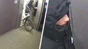 Наглый вор украл велосипед из подъезда многоэтажки на Мехзаводе: видео