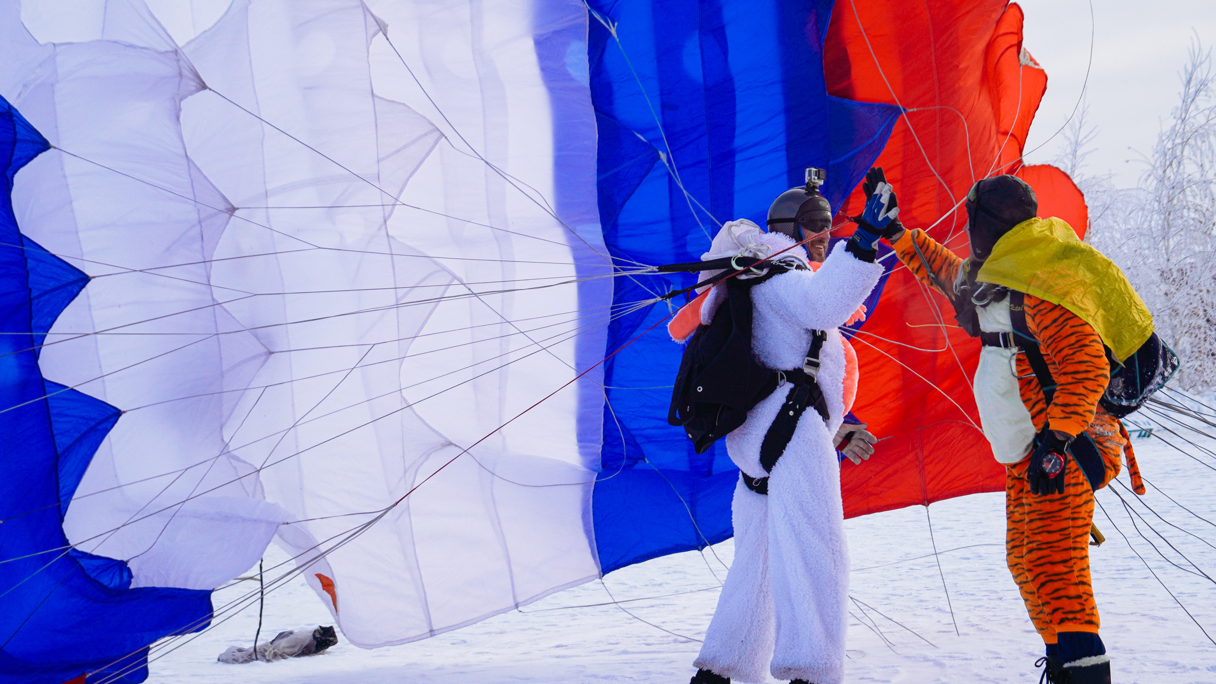 Какой год, такие и сани: Дед Мороз с тигром и кроликом на парашютах приземлились на Омскую крепость