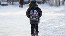 В школах Челябинска с первого по четвертый классы отменили занятия