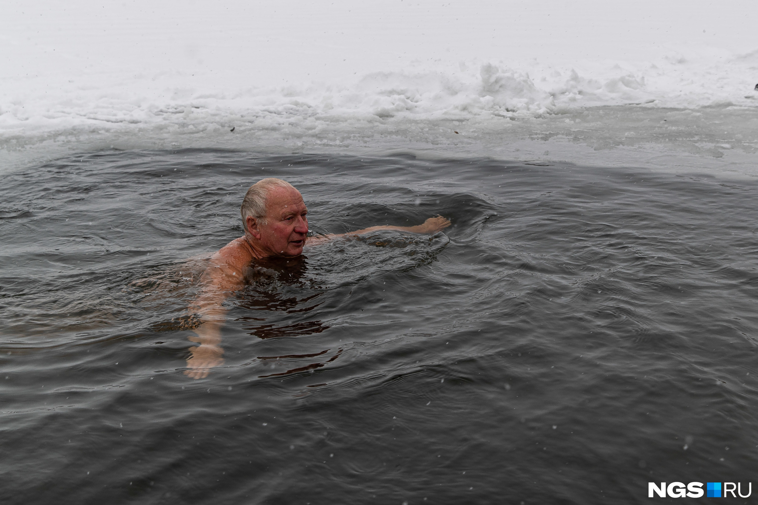 моржи новосибирска