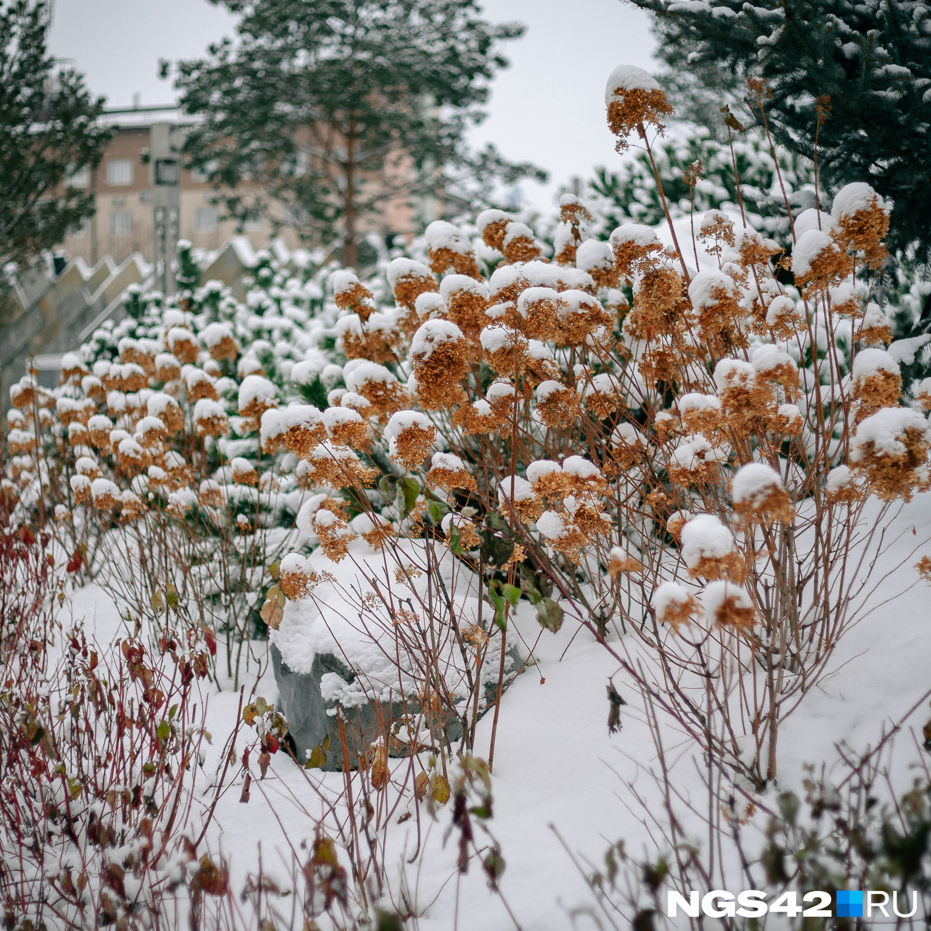 Село качки занесенное снегом. Снег. Снежный ноябрь. Ноябрьский снег. Снег в ноябре фото.
