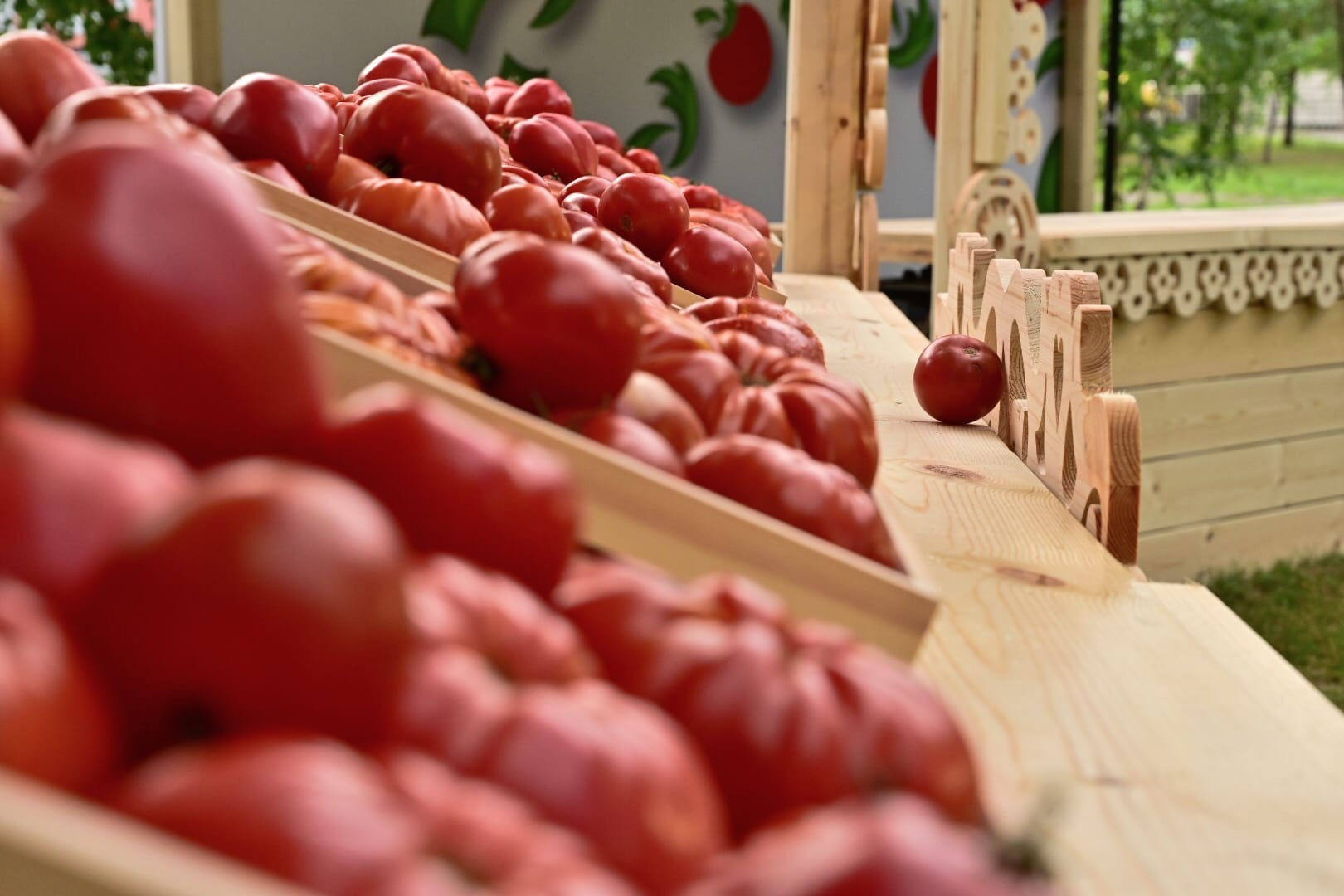 Поесть помидоров и повеселиться на народных гуляньях — что может быть лучше?