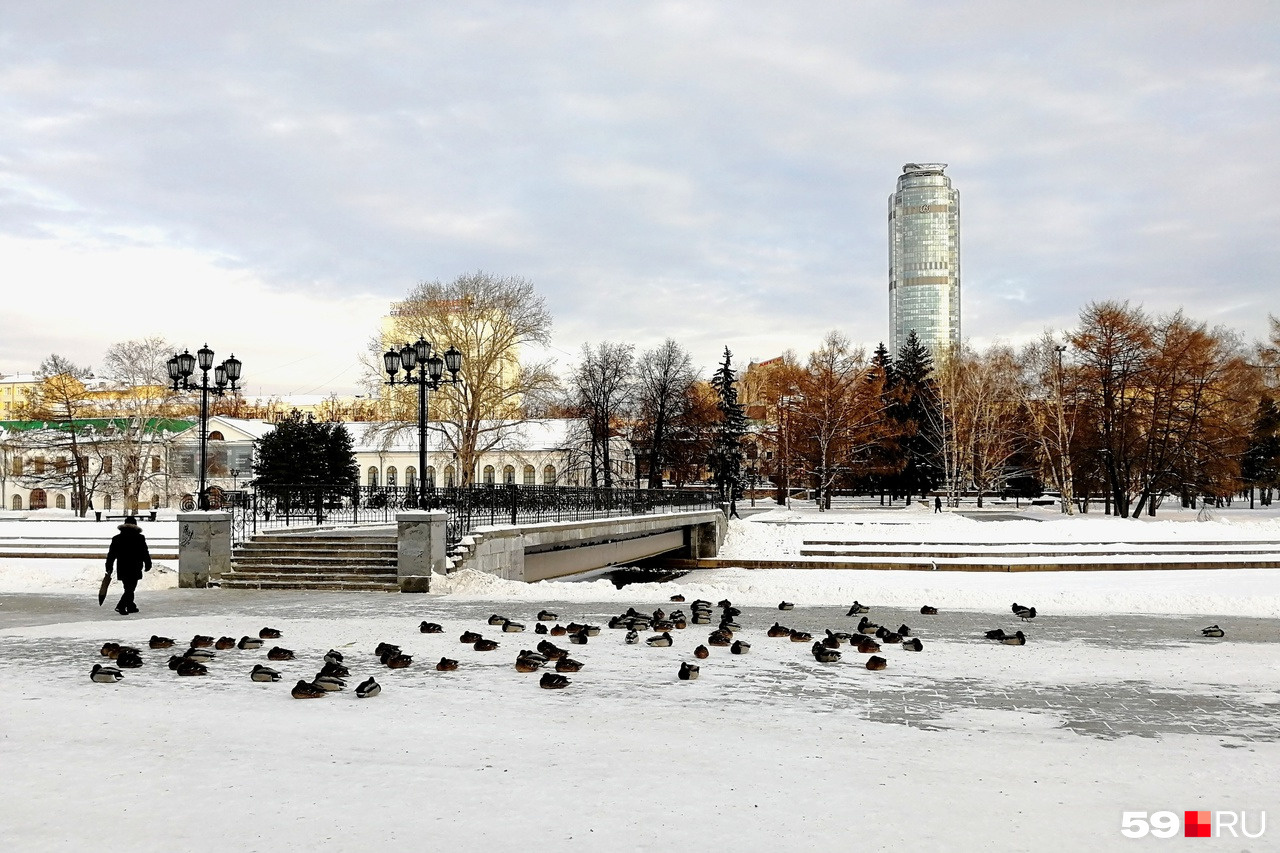 Фото из центра Екатеринбурга Фото из центра Екатеринбурга