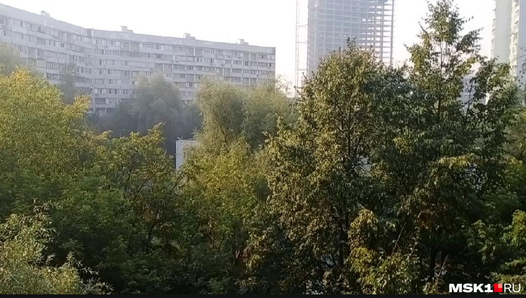 Запах гари в москве