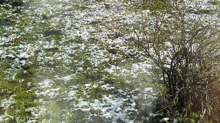 В Ярославской области выпал снег: метеорологи рассказали, каким будет май и когда уже наступит лето