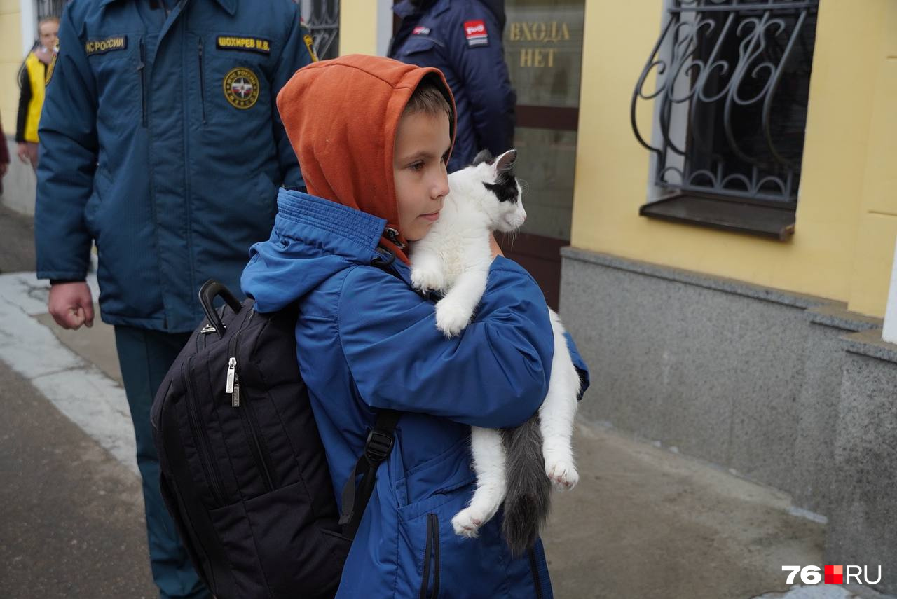 Одна семья взяла с собой котенка Кузю. Ему всего 4,5 месяца. Кузю нашли на улице и выходили с помощью пипетки