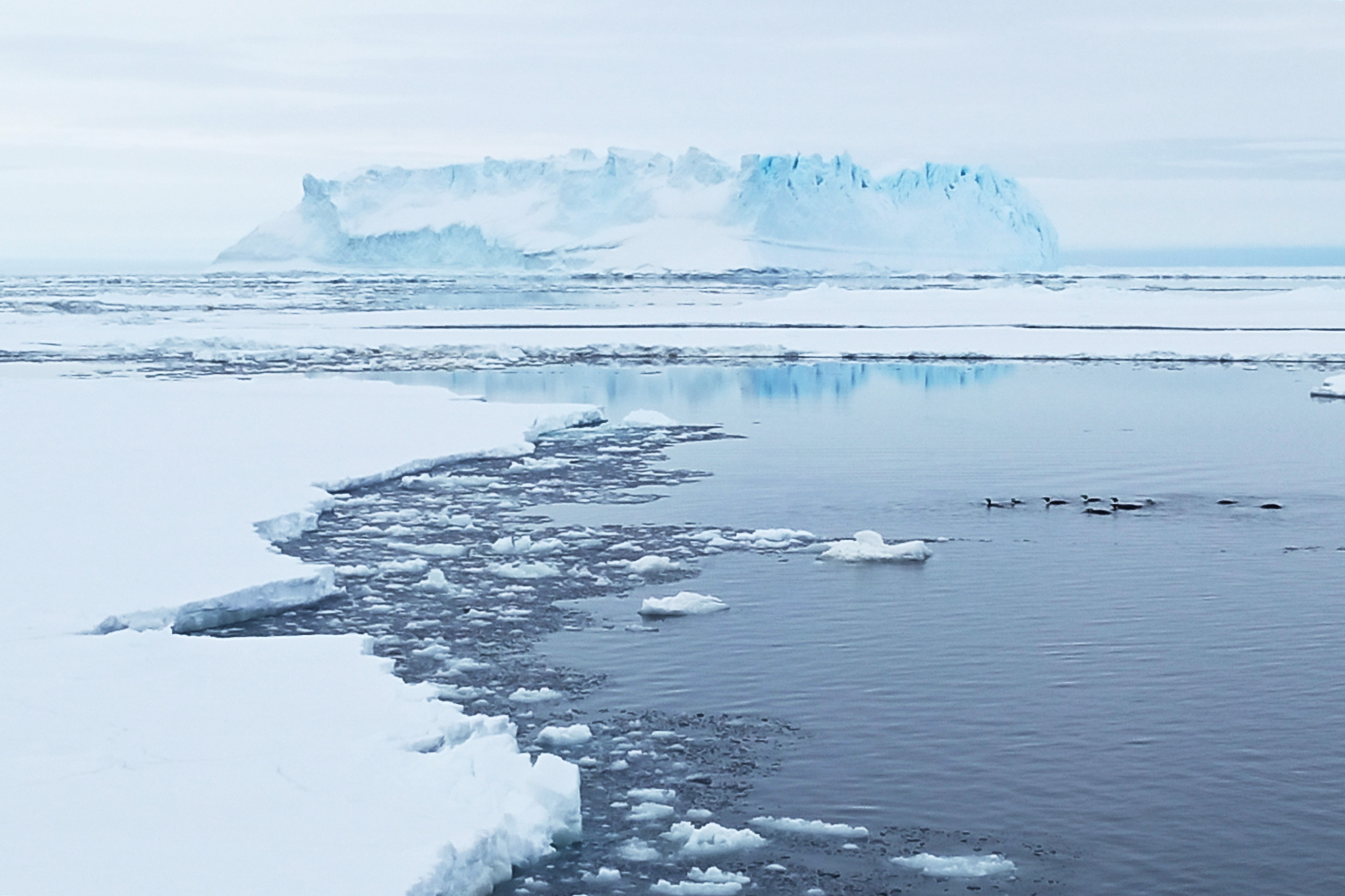 Арктические пустыни изменение природы человеком. Озеро озеро Дон Жуан в Антарктиде. Арктика Антарктика Европа Сомали. Озеро Восток в Антарктиде. Северное море.