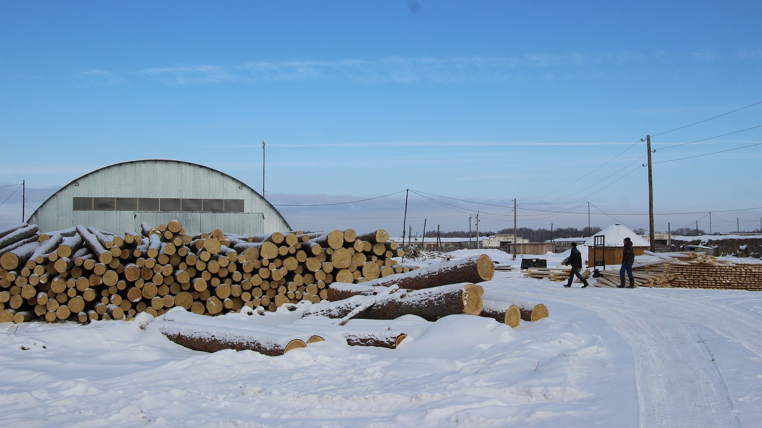 Кто пилит лес в Омской области и на какие сроки заключают контракты на заготовку древесины