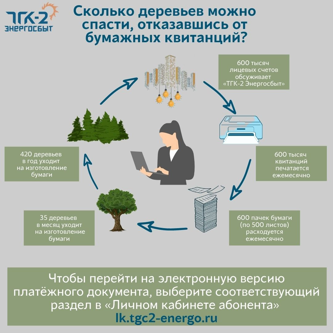 Сколько деревьев уходит на производство бумаги