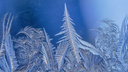 «Настоящее волшебство»: фотограф сняла на раритетный объектив узоры на окнах в мороз — смотрим, что получилось