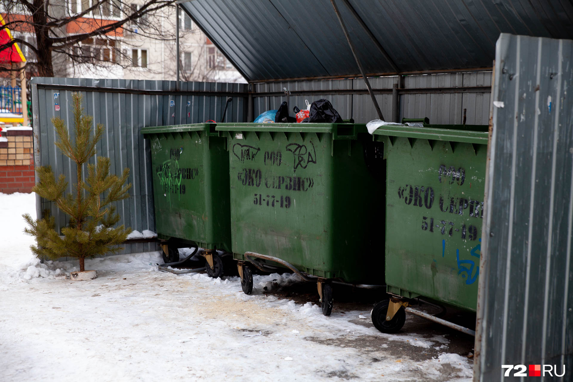 Специалисты «Тюменского экологического объединения» советуют оставлять деревья на контейнерных площадках, в местах для крупногабаритного мусора