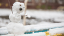 Придется подождать: синоптики сообщили, когда в Новосибирске выпадет первый снег