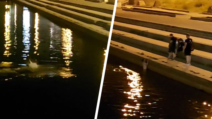 «Купался в свое удовольствие»: на Плотинке молодой человек устроил ночной заплыв. Видео