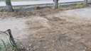 Разлом тротуара шириной в полметра засыпали песком в Чите
