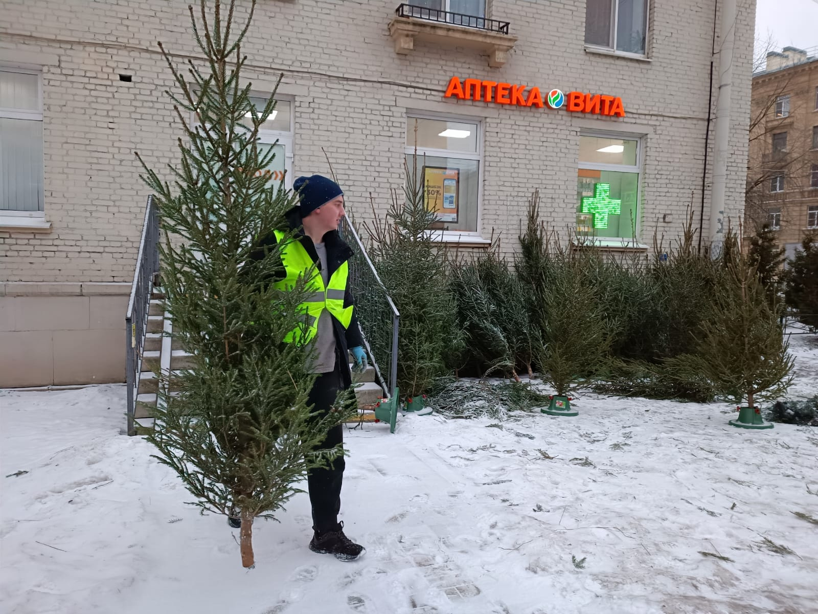 почему не продают елки на улице 2023. елковорот. почему не продают елки на улице 2023. елочный базар. смоленск елочный базар 2022г.