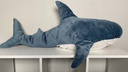 Ростовчанин выставил на продажу акулу из ИКЕА за миллион рублей
