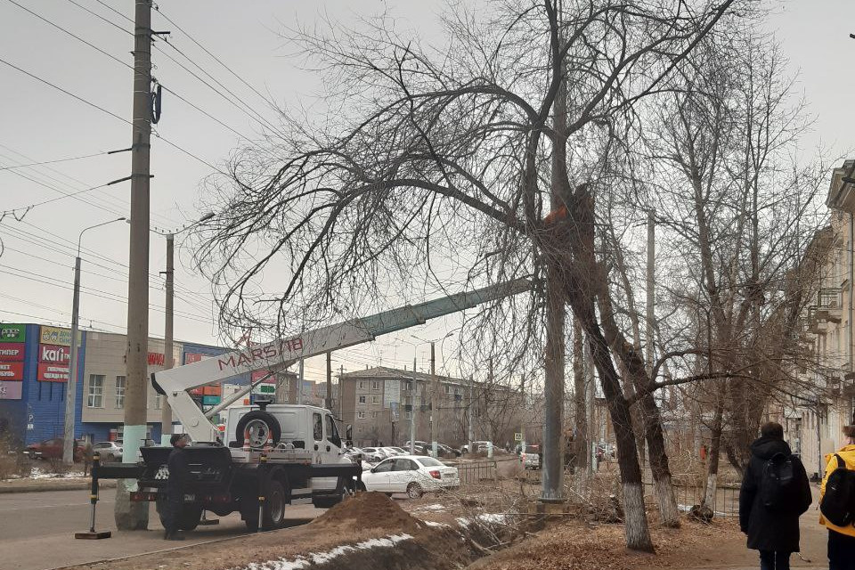 Деревья спиливают в Чите для расширения улицы Новобульварной