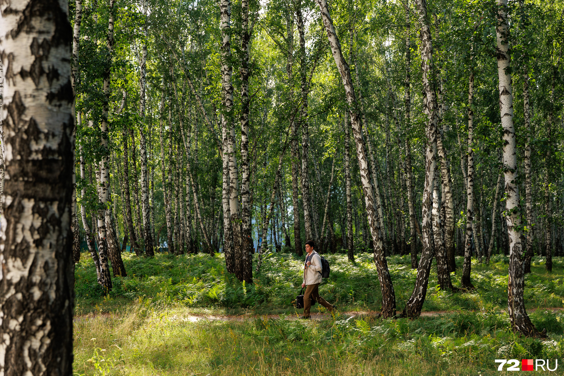 Лес возле дома ценят жители ЖК и хотят его сохранить