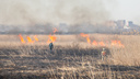 Десять детских лагерей в Ростовской области оказались под угрозой лесных пожаров