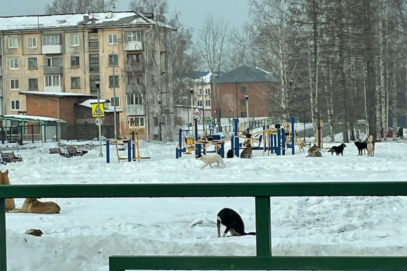 Голые девушки североуральска